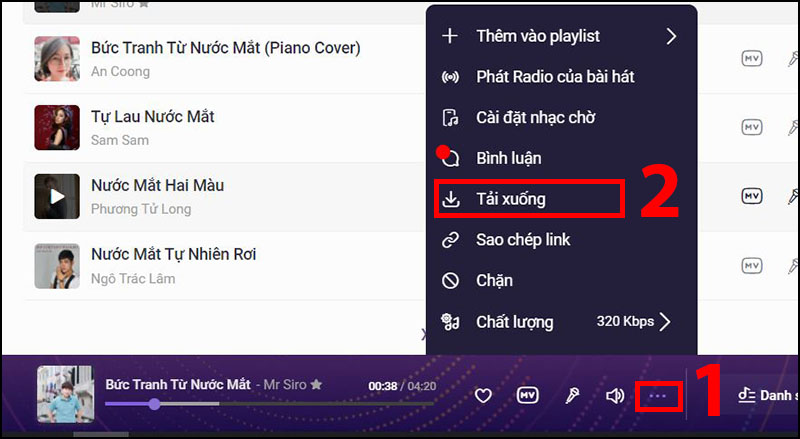 Hướng dẫn tải trên web Zing MP3